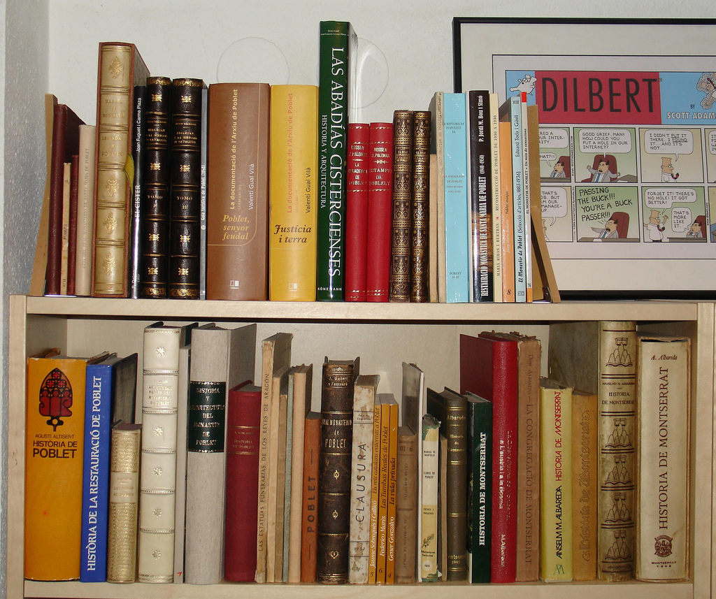 libros de diferentes tamaños puestos en fila en una estantería de dos pisos