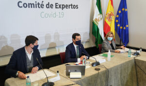 Moreno, durante la reunión del comité de expertos sobre el Covid-19, reunido este domingo en San Telmo.