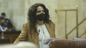Rocío Ruiz, desde su escaño, responde a las preguntas de los grupos parlamentarios en el Pleno.