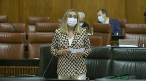 La consejera de Fomento, Marifrán Carazo, durante su intervención en la sesión plenaria.