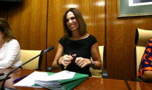 La consejera Rocío Díaz, durante la Comisión de Fomento en el Parlamento de Andalucía.